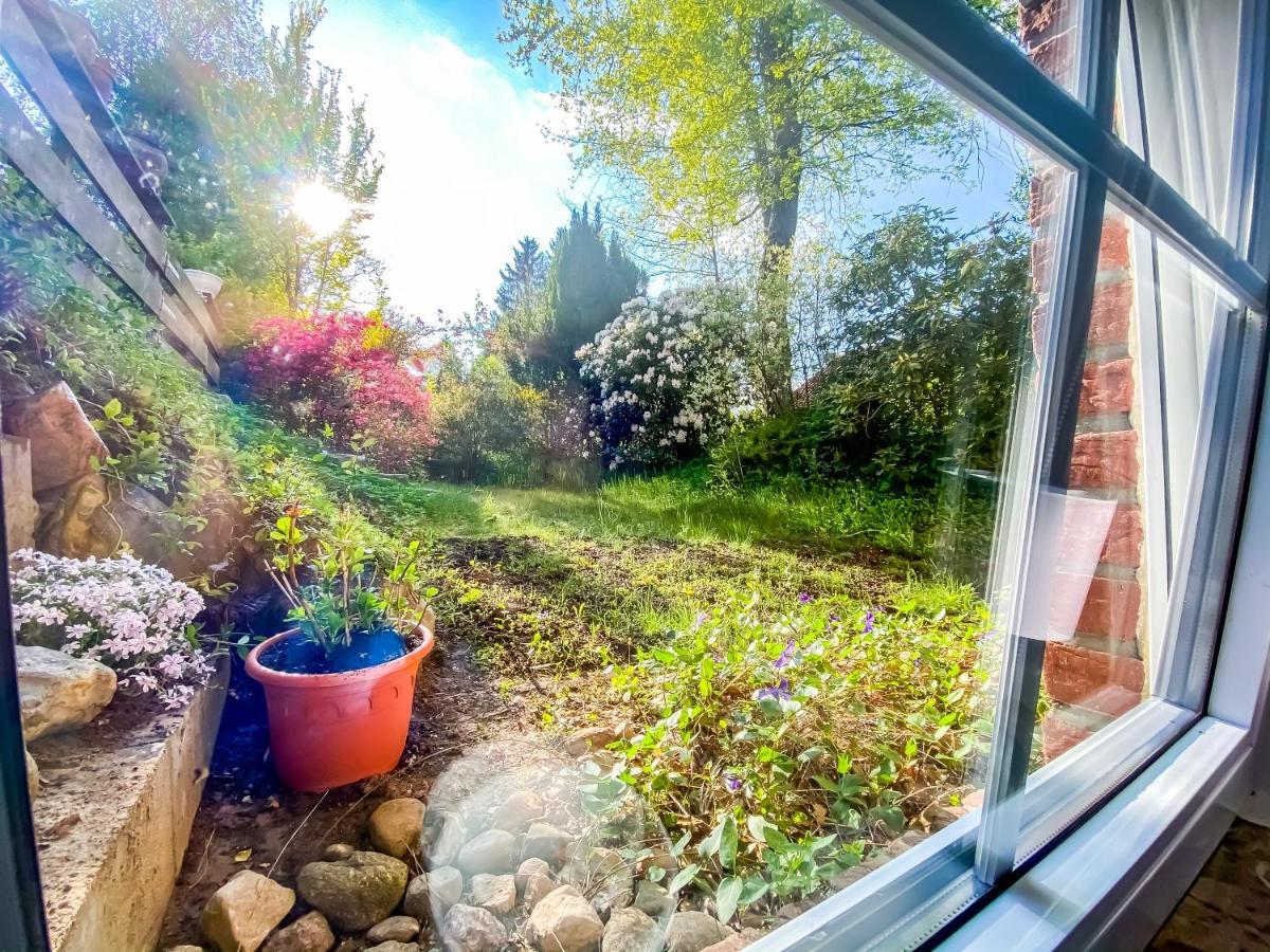 Ferienwohnung Im Sachsenwald Dassendorf Esterno foto